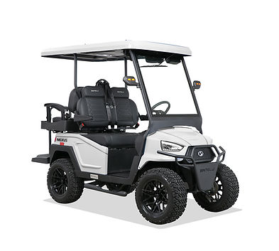 rental 4 passengar