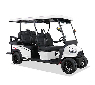 rental 6 passengar