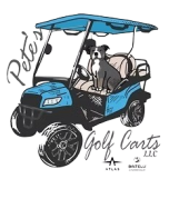 site logo transparent